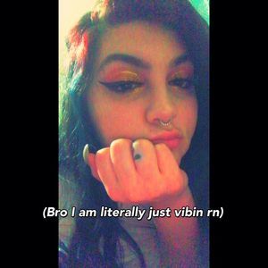 Meet your Posher, Hay